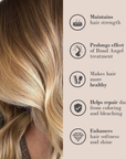 Blonde Perfection Set