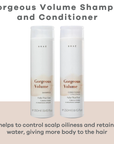 Gorgeous Volume Shampoo and Conditioner Set 8.45 fl. oz