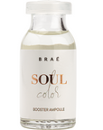 Soul Color Booster Ampoule Conditioning Hair Treatment for All Hair Types 0.5 fl.oz (1 pcs)